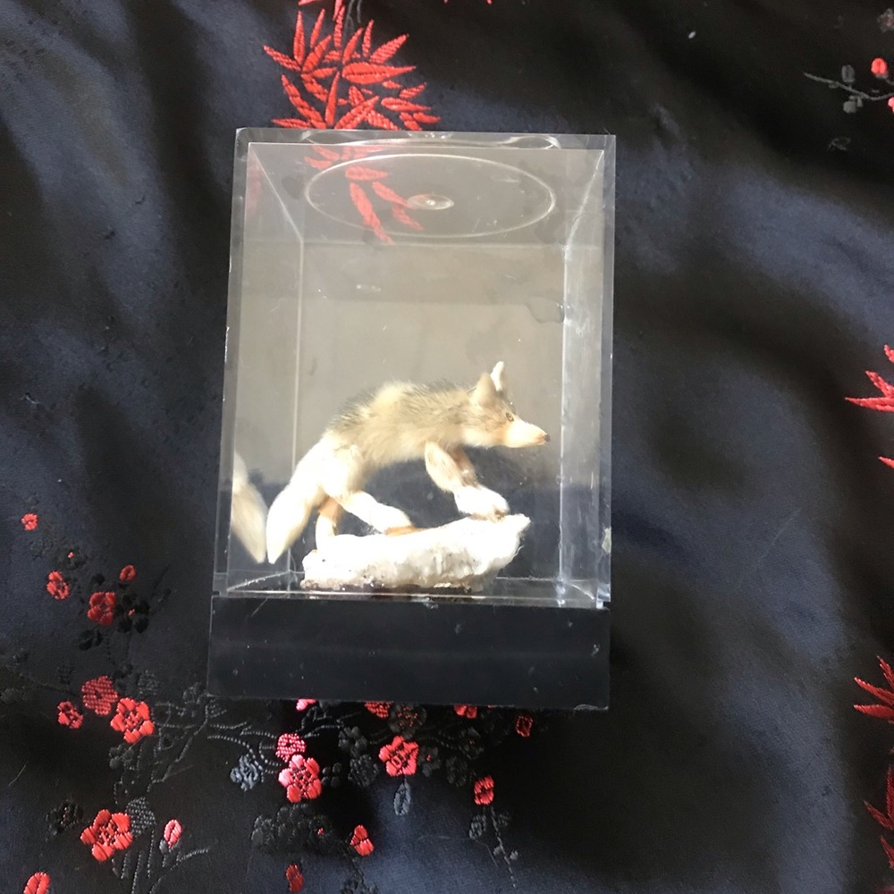 Vintage dollhouse miniature coyote on rock
